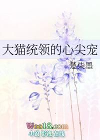 大喵统领的心尖宠