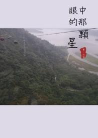 眼中星介绍