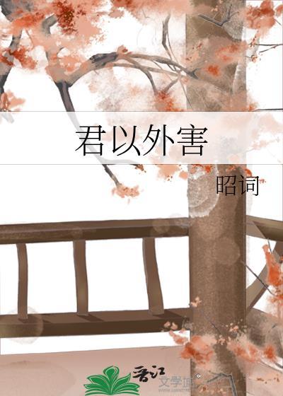 君以外害歌词翻译
