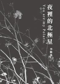 夜晚北极星出现