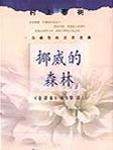 挪威的森林书籍简介