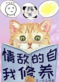 我的情敌是自己电视剧