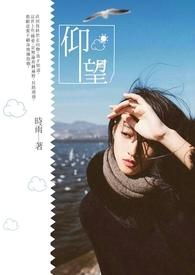 仰望u9x售价