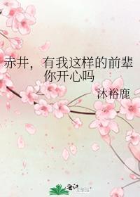 赤井是谁