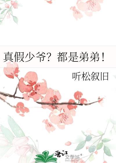 真假少爷都是弟弟晋江