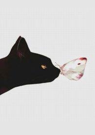 人间好时节简谱