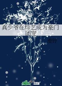 真少爷在综艺成为豪门团宠澄铃全文免费阅读
