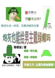 炮灰男为