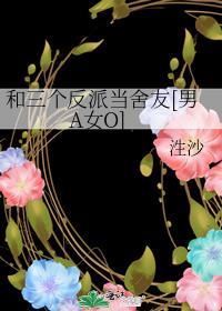 你捡到了我的日记本贰拾六