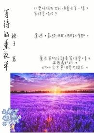 薰衣草花田的等待