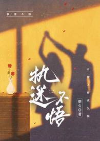 执迷不悟阅读