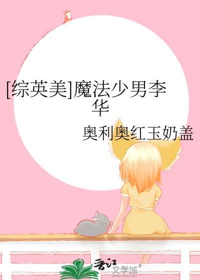 综英美魔法少男李华免费阅读