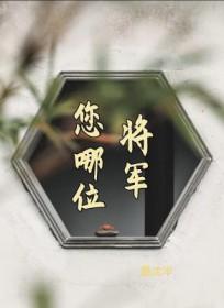 将军说了什么