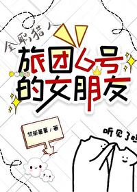 全职猎人旅团乙女向