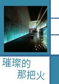 璀璨的烟火什么歌