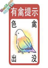 女孩子贴贴是什么意思
