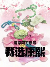 我选康熙!txt