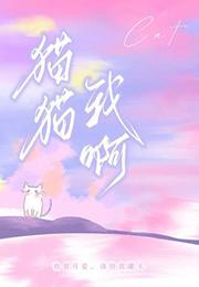 歌词猫猫猫是什么歌