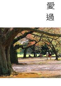 爱过以后只留下一道伤口是什么歌