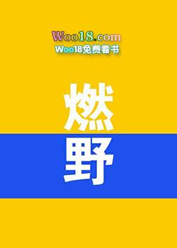 燃野少年的天空完整版