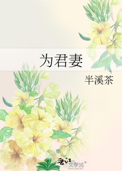 为君妻txt