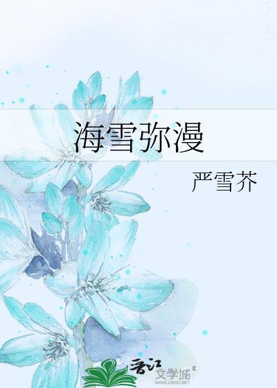 海雪弥漫盘