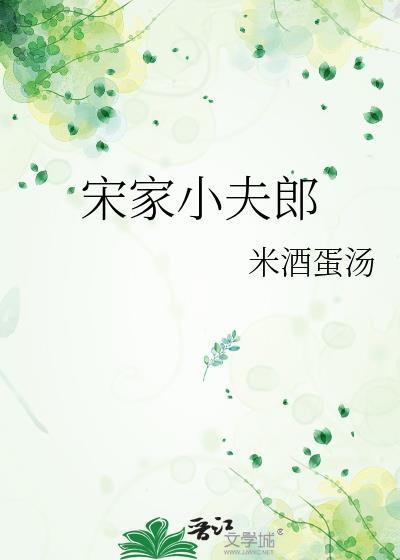 宋家小夫郎by米酒汤圆讲什么
