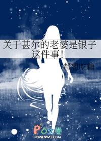 关于甚尔的老婆是银子这件事玫瑰