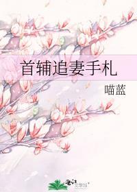 首辅追妻手札喵蓝