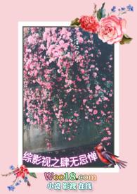 综影视之电视剧