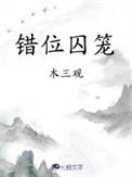 错位囚笼by木三观txt
