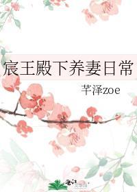 宸王妃的狠毒日常全文免费阅读