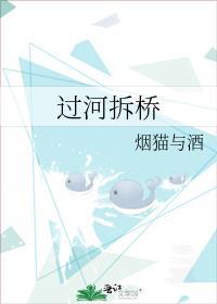 过河拆桥by烟猫与酒讲的什么