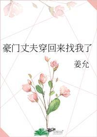 豪门丈夫穿回来找我了晋江