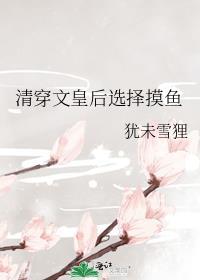 清穿之皇后作者文婉