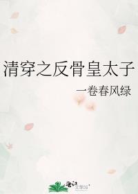 清穿之反骨皇太子免费阅读