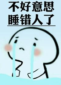 不好意思认错人了TXT