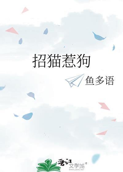 招猫招狗的人