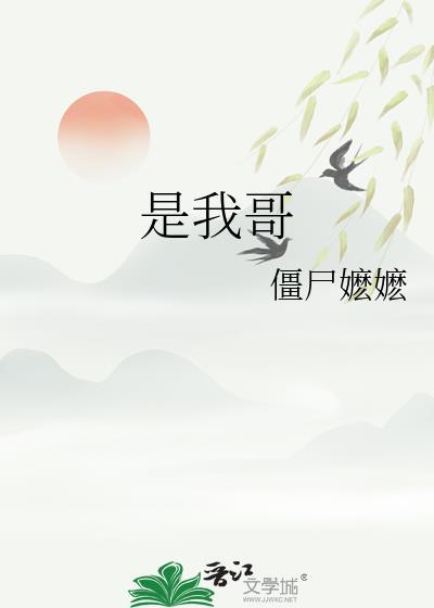是我哥免费阅读