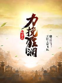 明末之力挽狂澜介绍