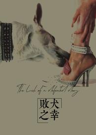 败犬有谁