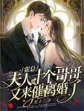 夫人逃婚了