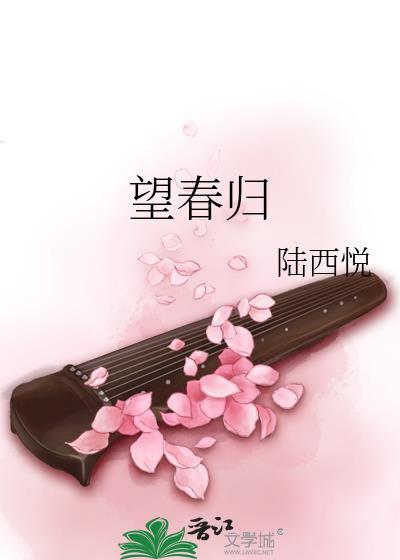 望春归讲什么