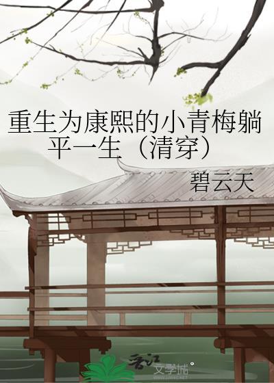 重生康熙的小妾