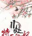 11处特工皇妃楚乔传原著