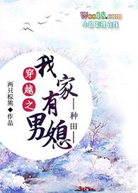 穿越之我家有男媳txt