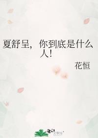 夏舒问简介