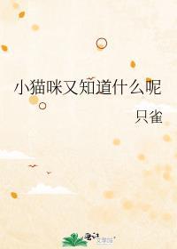 小猫咪又有什么