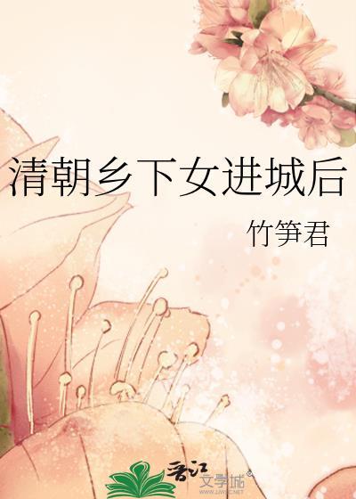 清朝乡下女进城后电脑版