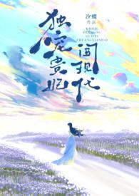 独宠贵妃的